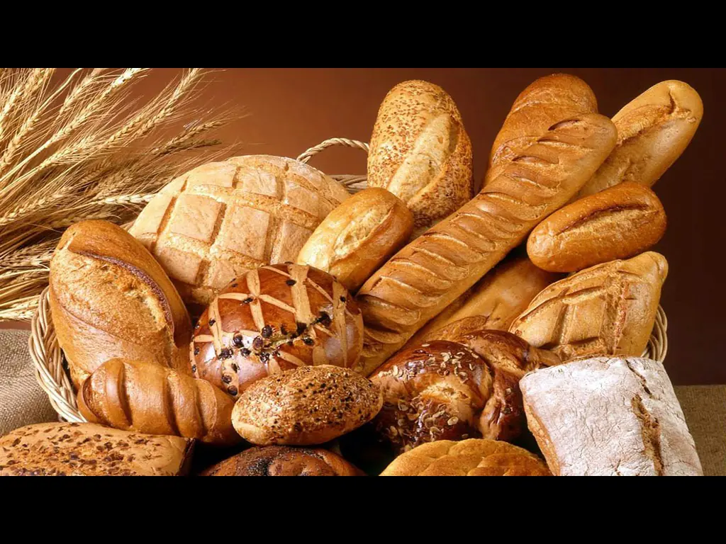 A pile of freshly baked loaves, rolls, and baguettes.